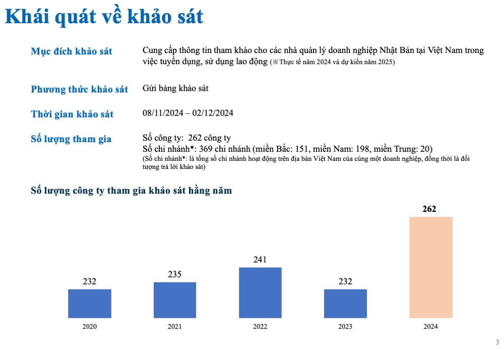 [2024] Salary Increase & Bonus Report 12.2024