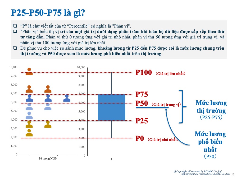[2024] Salary Report – 5.2024
